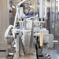 Machine automatique de remplissage et de scellage sous vide de type brique pour applications alimentaires et chimiques avec moteur de pompe PLC