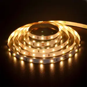 5M 10 meters Tape Connector 3000K 4000K White Led strip 24V 12V 10m led strip light