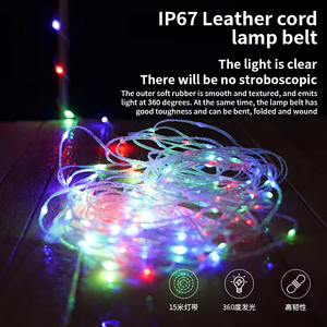 Colorful <b>Light</b> <b>String</b> Tent Camping High Quality Outdoor Festival Christmas Lamp 4000 MAh Long Battery Life <b>Lights</b> WD-W11 Colorfu - Product Image 3