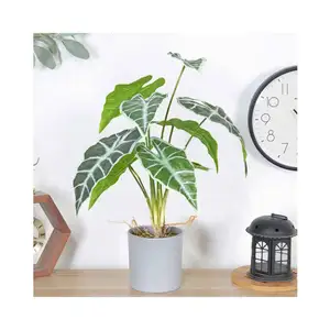 신제품 시뮬레이션 녹색 Monstera 식물 인공 식물