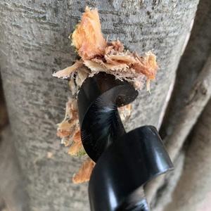 Broca <span class=keywords><strong>Manual</strong></span> para Madera <span class=keywords><strong>de</strong></span> 25 mm, Herramienta Multiusos para Perforar Orificios, para Campismo, Senderismo y Actividades al Aire Libre - Product Image 6