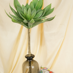 Plantas Suculentas Realistas, Plantas Suculentas Artificiales Realistas de Tallo Único para Decoración de Interiores, Hogar y Jardín, Graduación - Product Image 2