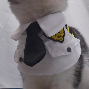 Pañuelo Triangular Tipo Uniforme de Piloto para Perros, Estilo Fuerza Aérea, Suave y Novedoso - Product Image 2