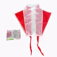 2020 china fábrica dupla linha personalizada impresso novo modelo cometa 3d power pocket kite de weifang