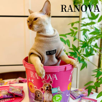 Friandise pour animaux de compagnie riche en protéines, Premium, saine, Ranova, viande de pigeon et de lapin lyophilisée, en pot, pour chats