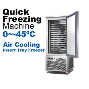 Congélateur à choc vertical grande capacité en acier inoxydable à 2 portes pour la congélation rapide des aliments - Product Image 2