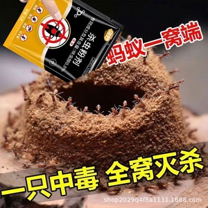 Polvo para matar <span class=keywords><strong>hormigas</strong></span>, 5g, no tóxico, para uso en interiores y cocinas, eliminación de todo el nido, cebo para <span class=keywords><strong>hormigas</strong></span> para macetas - Product Image 1