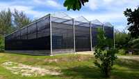 Plaque de toiture en polycarbonate ondulé transparent anti-UV, haute résistance aux chocs, pour serre agricole