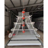 Cage à poules pondeuses de type A à alimentation automatique, avec nettoyage manuel du fumier par manivelle, pour élevage en batterie, à vendre