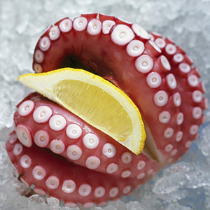 Venta al por menor en bolsas IQF Sushi Frozen Raw Octopus Delicious Indonesian Origin Live Octopus en venta Madako Frozen Octopus - Product Image 6