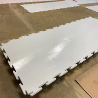 Piste de patinage sur roulettes en plastique, patinoire artificielle / panneaux de glace synthétique, hockey sur glace synthétique / patinoire sur glace