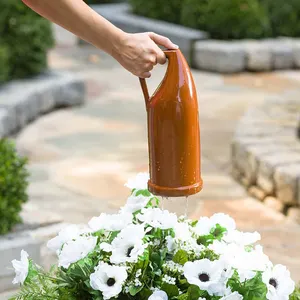 D'autres cruches d'arrosage et d'irrigation OEM amortissent les sols et empêchent la poussière d'eau de jardin d'être irritante.