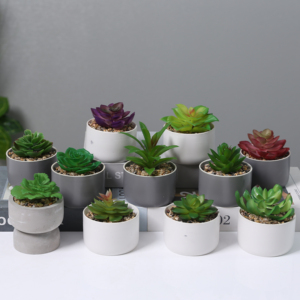 Jardinière succulente moderne européenne personnalisée petits Pots de plantes décoratifs en céramique pot de bonsaï de fleur en terre cuite d'intérieur pour plantes - Product Image 1