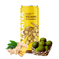 Vente en gros OEM de boissons vietnamiennes au thé kombucha à bon prix Boisson gazeuse aux fruits gingembre Ingrédients naturels Fabriqué Vietnam