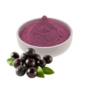 Natural Acai Berry Extract Powder 5:1- 20:1 Acai Berry Extract