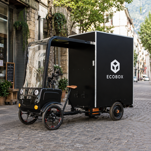 Tricycle électrique à 3 roues robuste avec caisse de livraison fermée pour la logistique du dernier kilomètre, la livraison par coursier et l'utilisation urbaine - Product Image 1