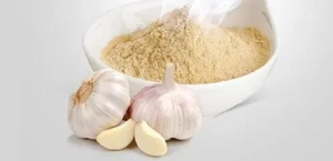 Poudre d'extrait d'ail pur à l'allicine, ingrédient botanique naturel pour les compléments alimentaires et les formulations de bien-être - Product Image 3