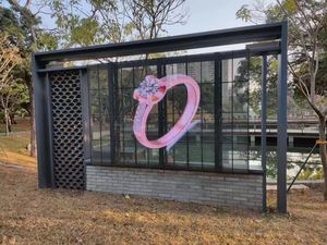 Pellicola LED Trasparente per Vetrine Esterne P6 Display LED RGB Full-Color - Product Image 2