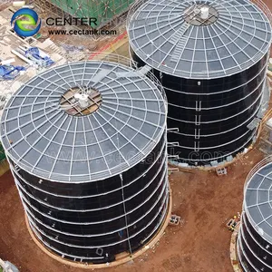 Planta de biogás doméstica/tanque de almacenamiento de biogás de China/reactor de bioenergía
