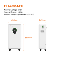 Batterie LiFePO4 Felicitysolar 51,2V 314Ah 16kWh, batterie à cycle profond conforme aux normes européennes Felicitysolar FLA48314-EU
