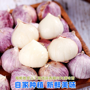 <span class=keywords><strong>Ail</strong></span> à tête unique séché 2025 Nouvelle <span class=keywords><strong>saumure</strong></span> de peau violette en forme de bloc préservée 500g - Product Image 3