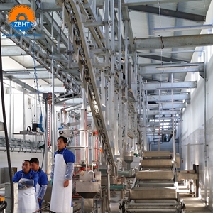 Komplette Rinder- und Kuh-Schlachthofausrüstung für Schlachthöfe mit Langlebigkeit und Hoher Qualität - Product Image 5