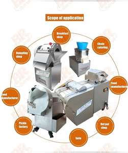 220v Processing and Stainless Ginger Chopper Radish <strong>Sheet</strong> Fried Vegetable Potato Multifunctional <strong>Garlic</strong> Slicer - Product Image 6