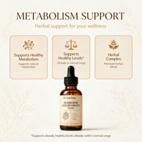 Gouttes liquides de berbérine avec cannelle de Ceylan et melon amer pour le soutien du métabolisme – Supplément complexe à base de plantes à absorption rapide