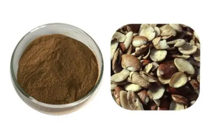 Extracto de Semilla de Mango Africano en Polvo, Suministro de Fábrica, Mejor Precio, Hierbas Naturales, Muestras Gratis, Certificado Halal, Empacado en Bolsa/Tambor - Product Image 2