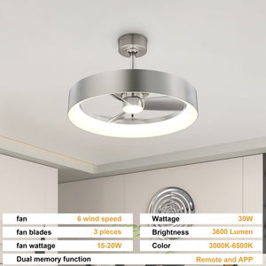 Brushed finished Ceiling <b>Fan</b> with Light Modern Low Profile LED <b>Fan</b> Fixture for Bedroom Living Room kitchen - Product Image 2