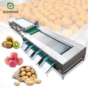 Ligne de production de lavage et de tri automatique pour fruits (grenade, carotte, noix de coco, abricot) avec trieuse à rouleaux pour la vente - Product Image 1