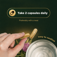 Complément alimentaire immunitaire à base de plantes en capsules Artichaut Betterave Zinc 60 unités Certifié Halal Pureté 99% Adulte OEM ODM Personnalisé