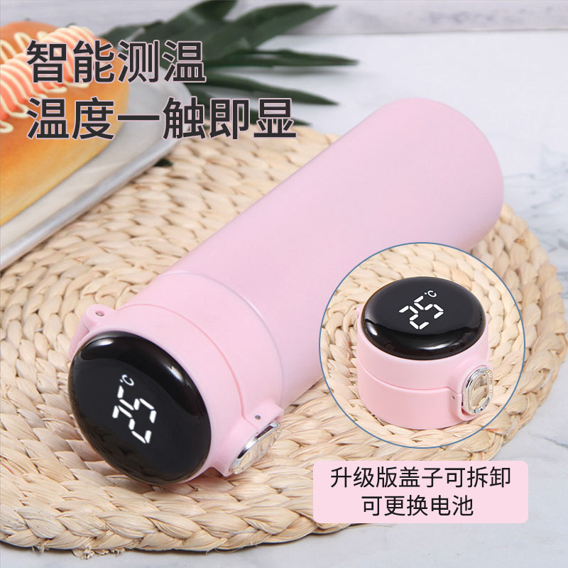 Pink-Replaceable battery