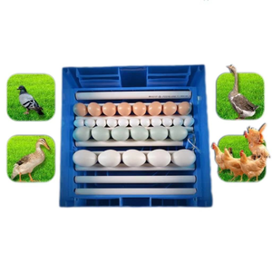 Incubadora de Polipropileno de Tamaño Pequeño a Precio de Fábrica, para Pollos, Patos, Gansos, Codornices, Avestruces, Reptiles y Pavos, con una Tasa de Incubación del 99% - Product Image 4