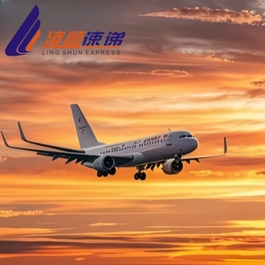 Dropshipping ajan depo yerine getirilmesi hizmet <span class=keywords><strong>Shenzhen</strong></span>/türük çin amerika LCL + Express üzerinden 7-20 gün Transit sigorta - Product Image 3