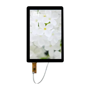 DXQ 10.1 inch 800*1280 MIPI Interface 500 nit Brightness 10 Inch Screen 10.1" tft Lcd Module Display with Cover Panel