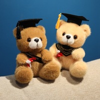 Ours en peluche personnalisable mignon pour diplôme de licence et de doctorat, jouet en coton PP, cadeau de remise de diplôme pour étudiants, amis et camarades de classe