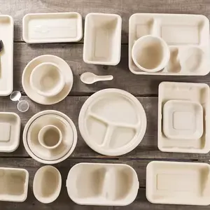 Wholesale Disposable 100% Natural Biodegradable Compostable Bagasse Disposable Oval Shape Tray With Lid