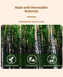 Disposable Biodegradable Bagasse <strong>Plate</strong> for Party <strong>Cake</strong> Confectionery Dessert Camping Kitchen Use - Product Image 6