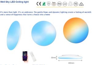 CE SAA LED Smart Blue Sky Lights Artificielle Skylight Sky Light pour Salon Bureau Étude Salle de <span class=keywords><strong>Bains</strong></span> Lumière du Soleil Naturelle - Product Image 2