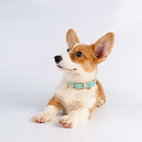 Ensemble collier et laisse pour chien en tissu Cortex, style Instagram, color block, pour chiens de petite et moyenne taille, vente en gros, international