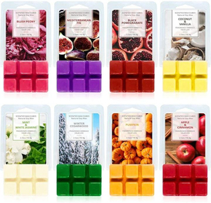 Fabricante de Ceras Aromáticas de Soja Orgánica, Cubos de Cera Aromática Hechos a Mano, Altamente Perfumados, Logotipo Personalizado para Fragancia del Hogar, Compra al por Mayor con Marca Privada - Product Image 5