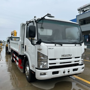 Camión Volquete Isuzu Elf Japonés de <span class=keywords><strong>8</strong></span> y 10 <span class=keywords><strong>Toneladas</strong></span>, Camión Volquete de Descarga Delantera en Venta - Product Image 2