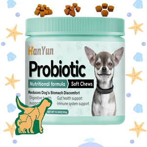 Integratore Probiotico Digestivo Personalizzato OEM ODM per Cani, Supporto Digestivo e Articolazioni e Ossa Sane, Campioni Gratuiti - Product Image 1