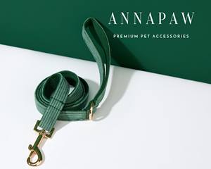 Handmade Forest Green Corduroy <b>Bow</b> <b>Tie</b> Set Custom Dog and Leash for Birthday Gift Engraved Name on Puppy Collar Tactical Plastic - Product Image 6