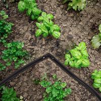 Kit de raccords d'irrigation de jardin, tuyau PVC, coudes en plastique de 4 pouces, tube goutte-à-goutte en caoutchouc pour l'arrosage domestique et agricole