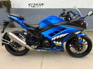 La Motocicleta Little <span class=keywords><strong>Ninja</strong></span> de 400cc con Motor de Dos Cilindros Refrigerado por Agua Más Vendida, con Motor Potente - Product Image 5