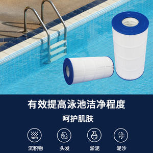 Filtre à eau Bipure Pool Core BC-PAP100, pièce de rechange pour filtration d'eau de piscine et spa - Product Image 4