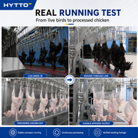 Ligne d'abattage de volailles CE 304 en acier inoxydable Halal à faible coût, machine de traitement de volailles, système 800 BPH