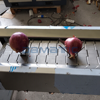 Kommerzielle Automatische Industrielle Edelstahl-Zwiebel-Schneidemaschine zum Entfernen von Spitzen, Enden und Wurzeln sowie zum Schälen
